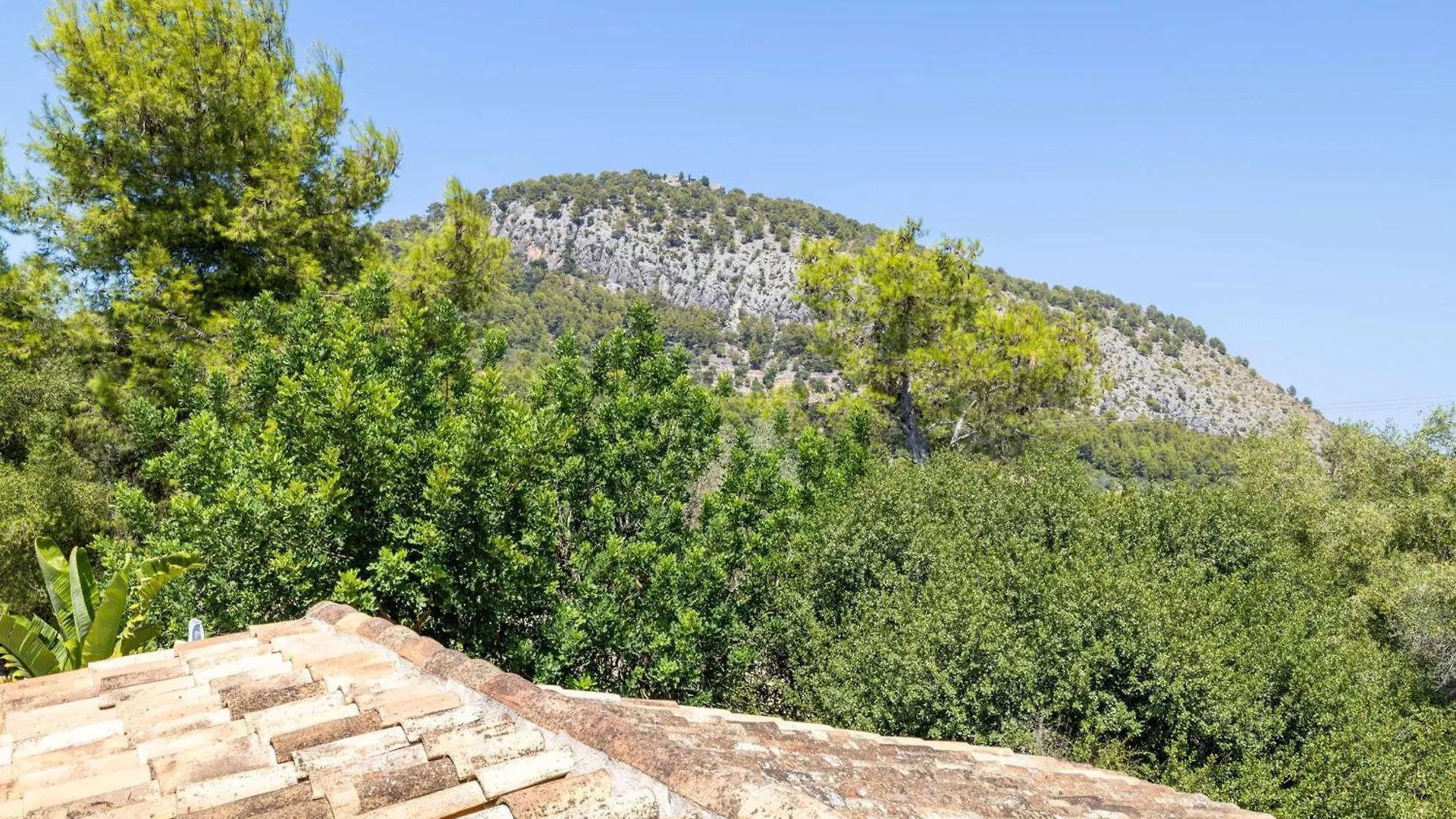 Can Verd Pollenca Spain